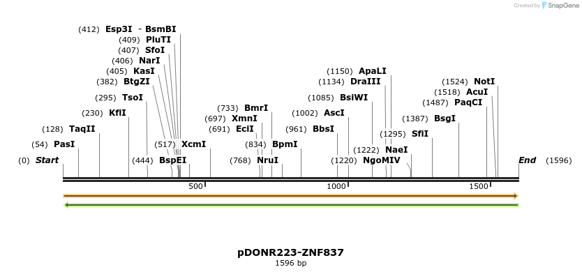 172258_map