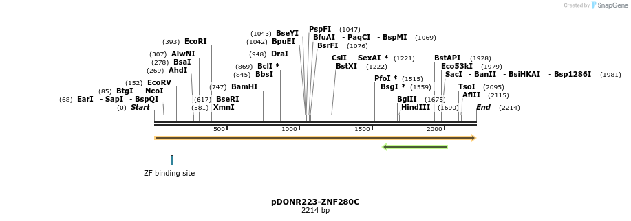 172262_map