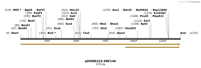 172268_map