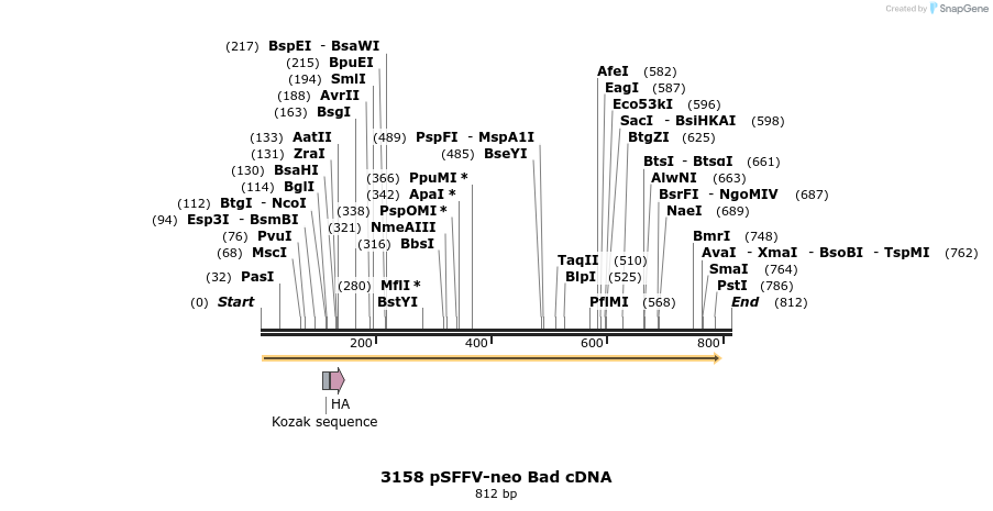 17227_map