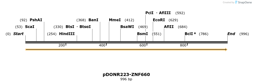 172277_map
