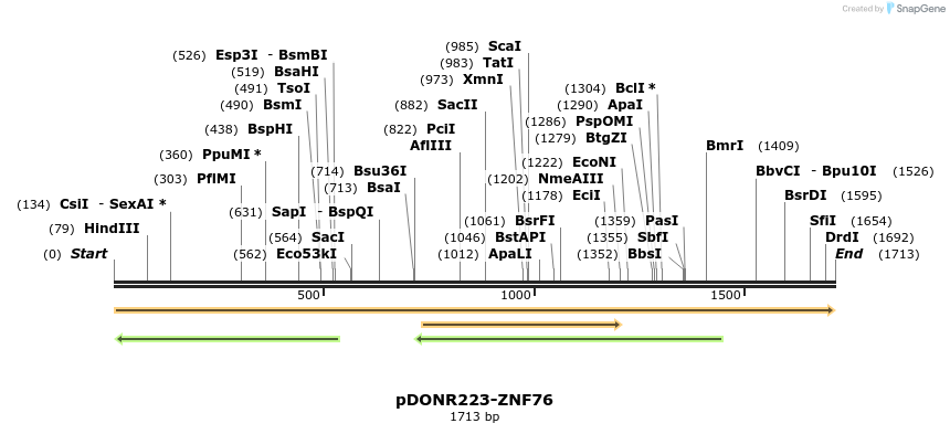 172282_map