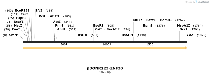 172285_map