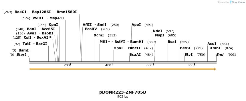 172288_map