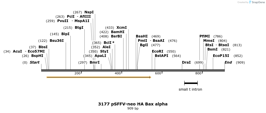17229_map