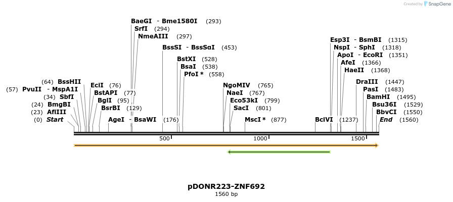 172305_map