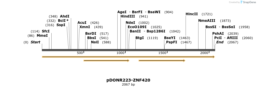 172307_map