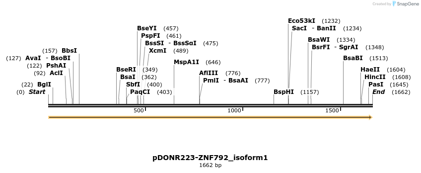 172308_map