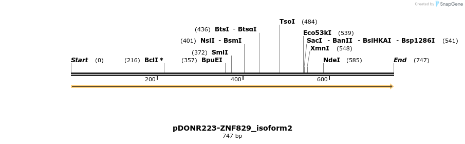 172311_map