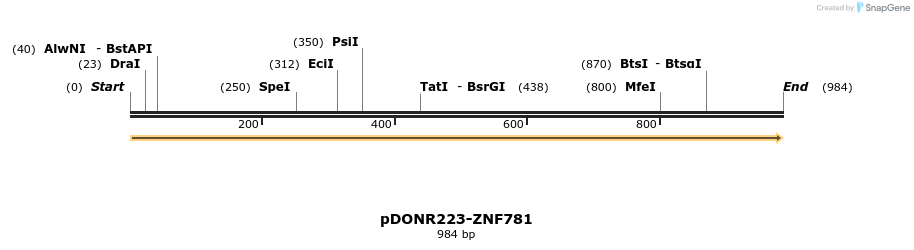 172312_map