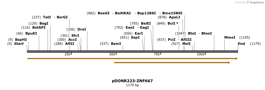 172314_map