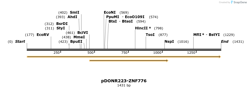 172316_map
