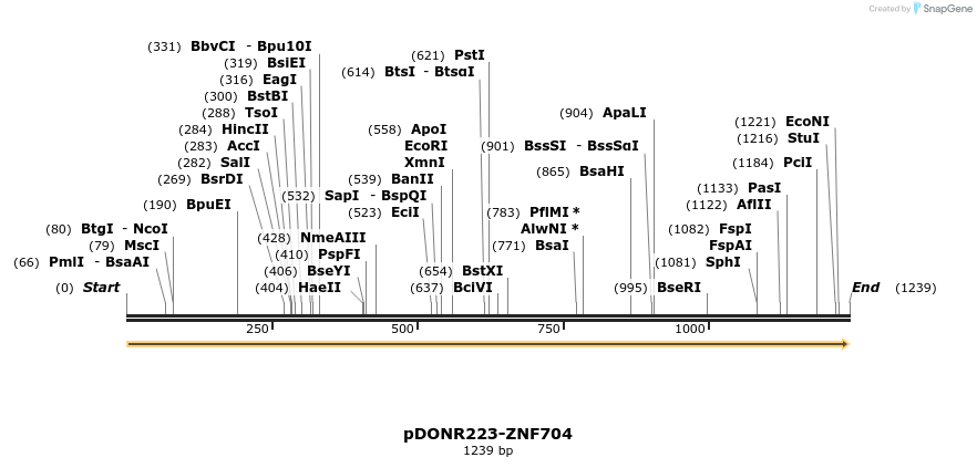 172325_map