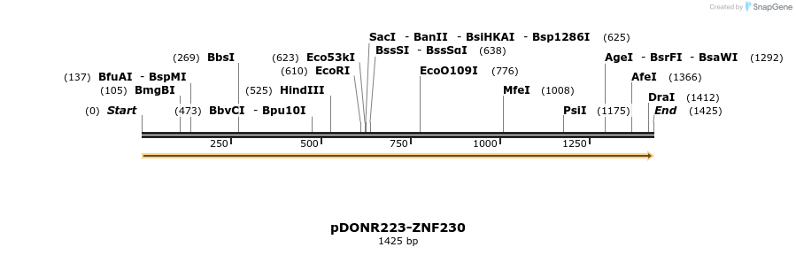 172336_map