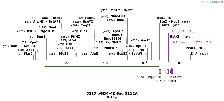 17234_map