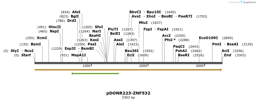 172344_map