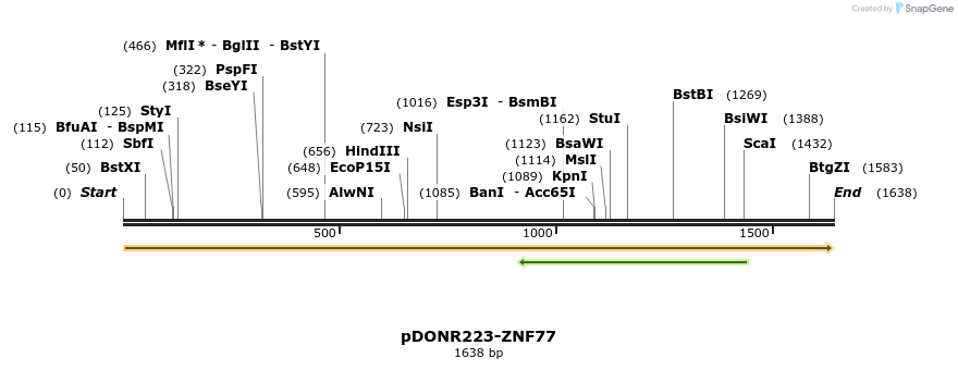 172348_map