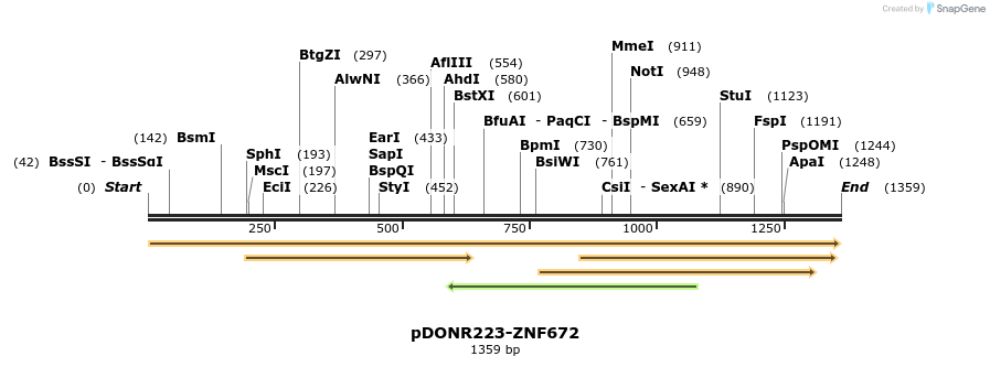 172357_map