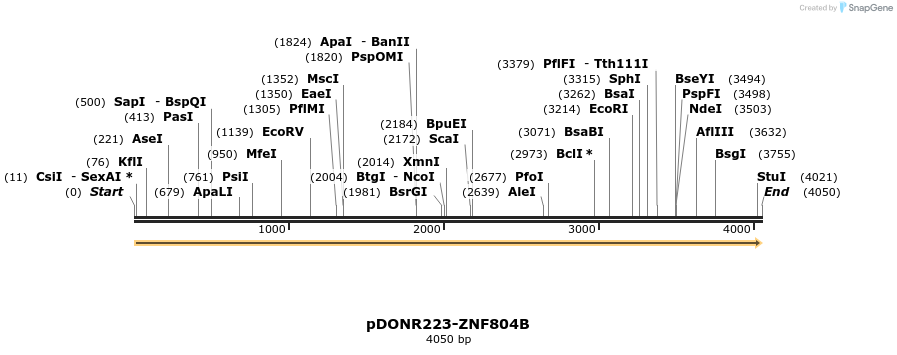 172360_map