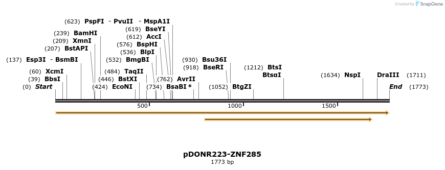 172364_map