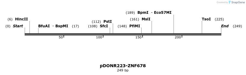 172365_map