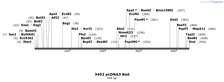 17237_map