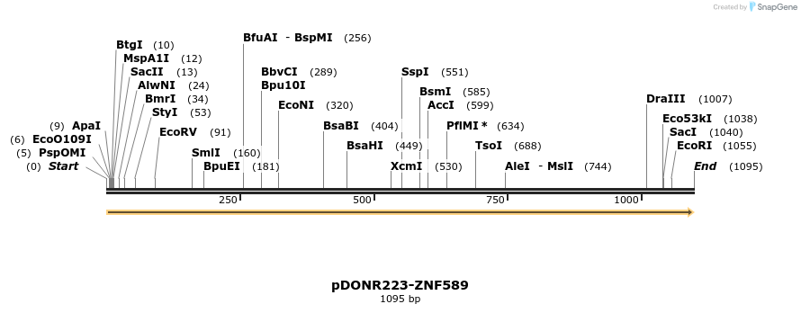 172382_map