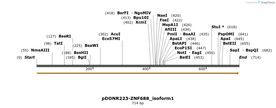 172383_map