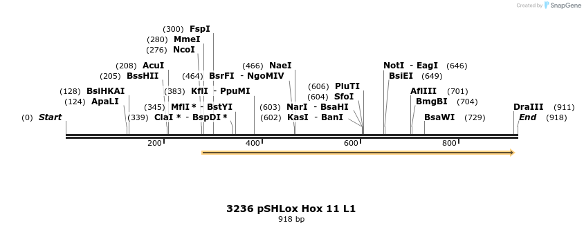 17242_map