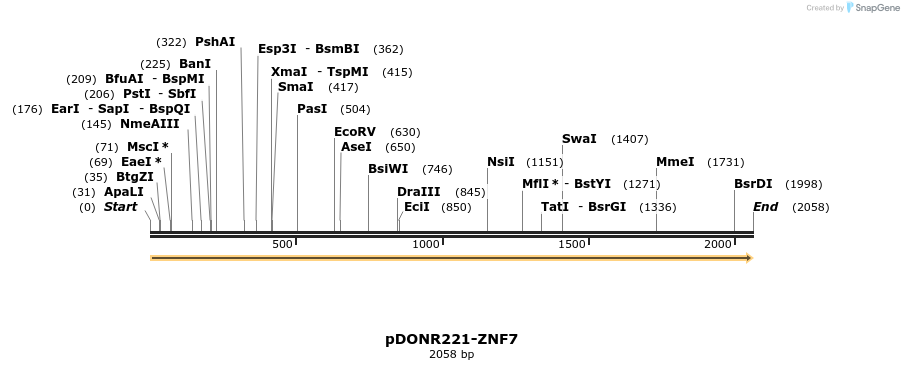 172421_map