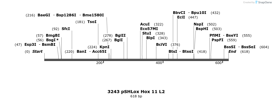 17243_map