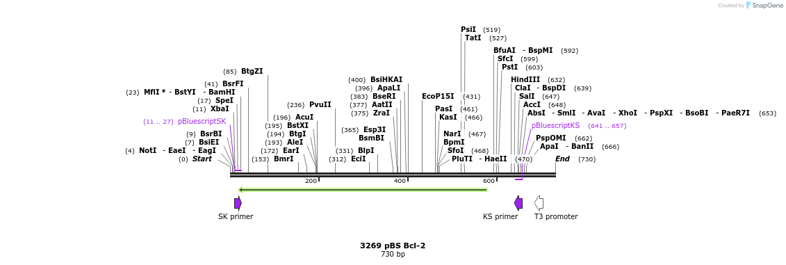 17244_map