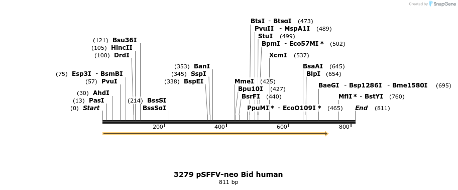 17246_map