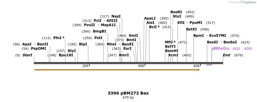 17250_map