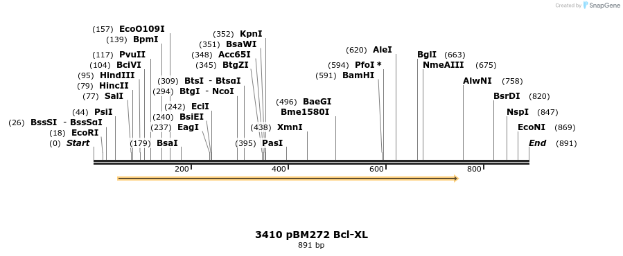 17251_map