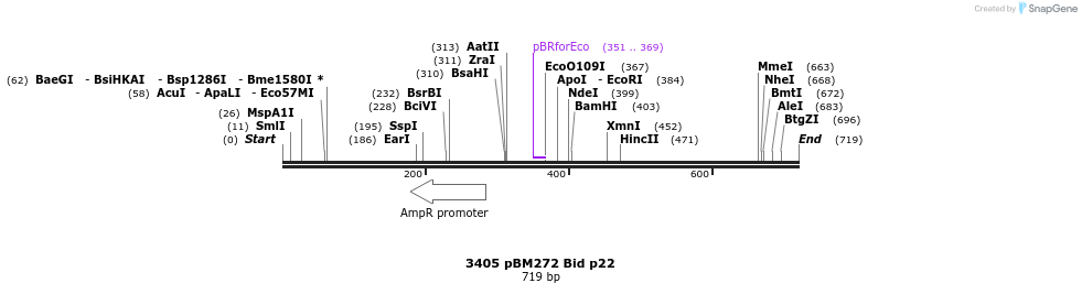 17253_map