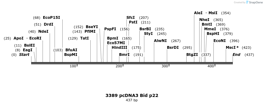 17254_map