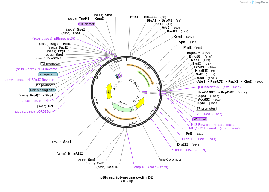 172570_map