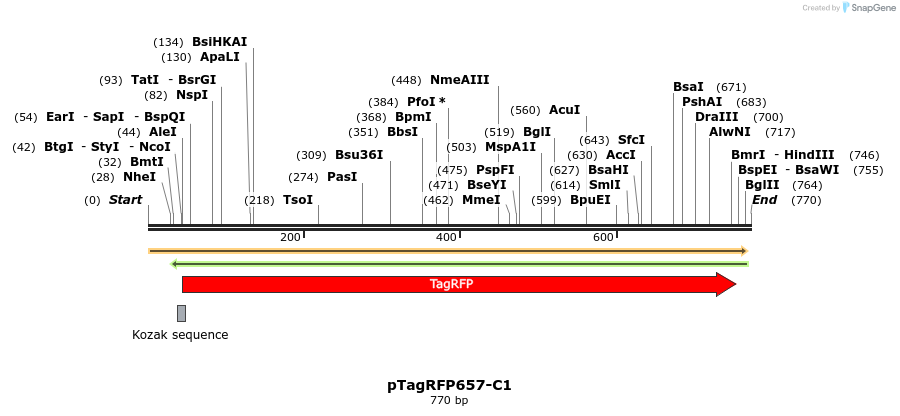 172572_map