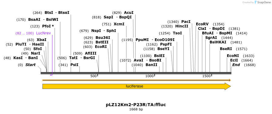172576_map