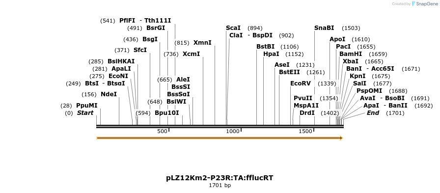 172577_map