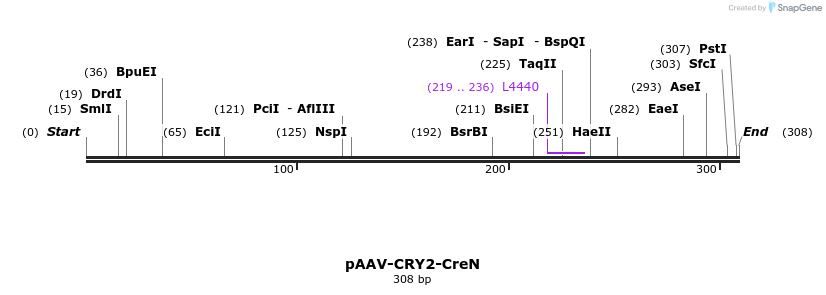 172608_map