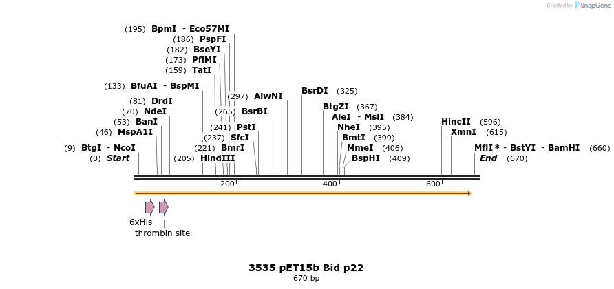 17262_map