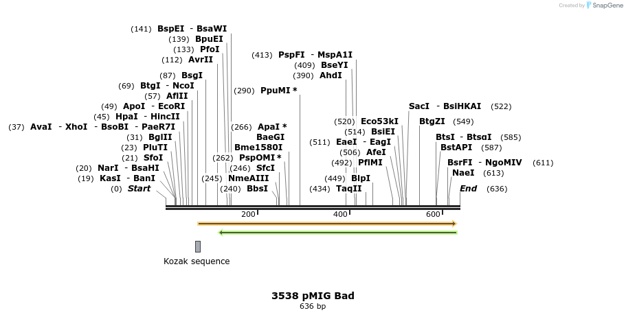 17264_map