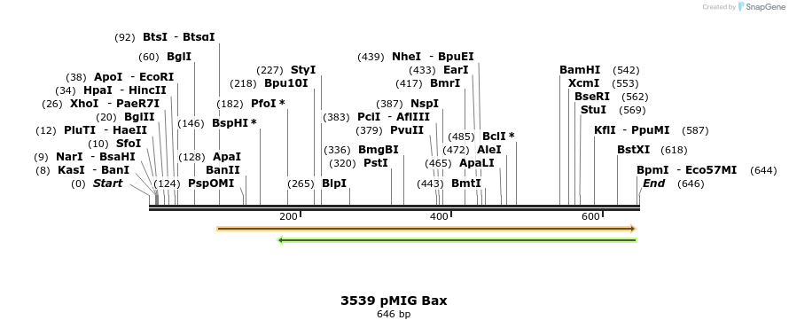 17265_map