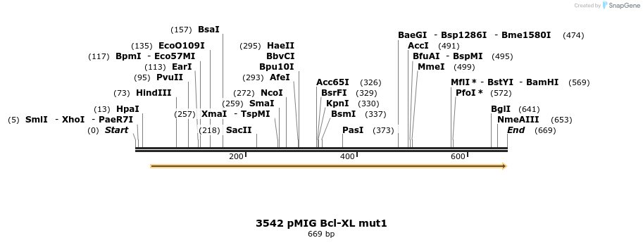 17269_map