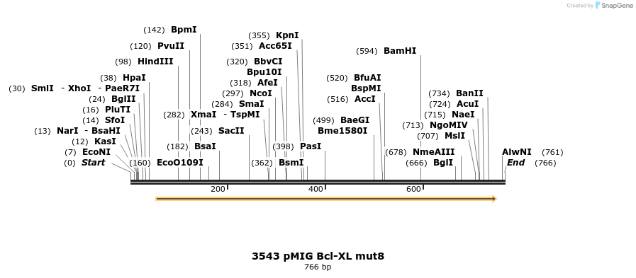 17270_map
