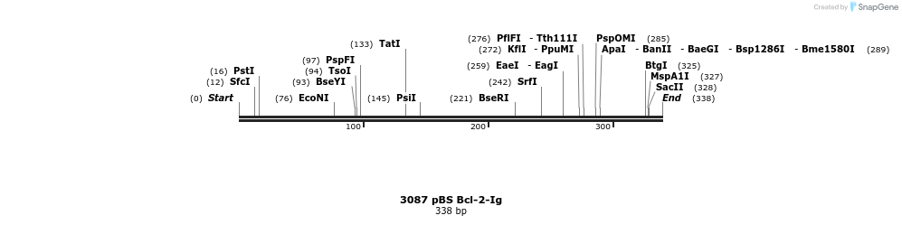 17275_map