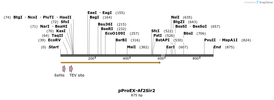 17276_map