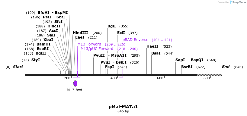 17278_map